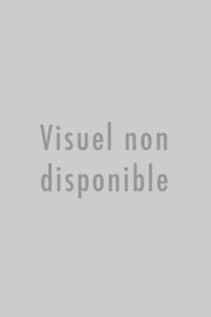 LES CLES POUR PUBLIER EN LIGNE - PRESSE, BLOGS, WIKIS, RSS, TAGS...