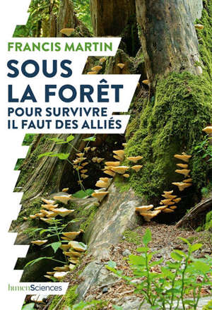 Sous la forêt : pour survivre il faut des alliés