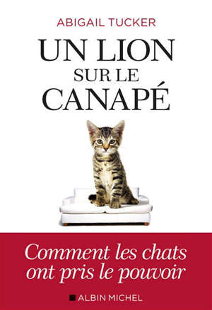 Un lion sur le canapé : comment les chats ont pris le pouvoir