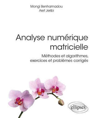 Analyse numérique matricielle : méthodes et algorithmes, exercices et problèmes corrigés