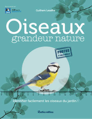 Oiseaux grandeur nature : identifier facilement les oiseaux du jardin !