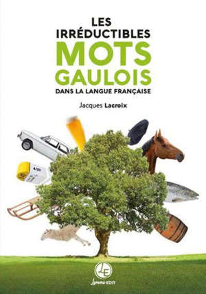 Les irréductibles mots gaulois dans la langue française