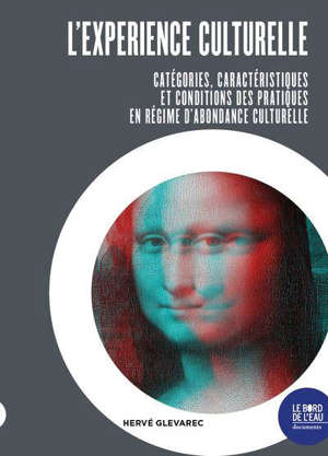 L'expérience culturelle : affects, catégories et effets des oeuvres culturelles