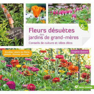 Fleurs désuètes des jardins de grand-mères : conseils de culture et idées déco