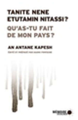 Qu'as-tu fait de mon pays ?. Tanite nan etutamin nitassi?