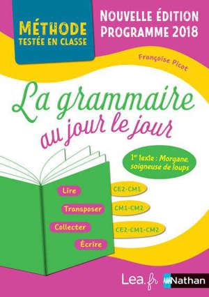 La grammaire au jour le jour, CE2, CM1, CM2 : 2019, année 2