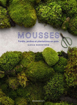 Mousses : forêts, jardins et plantations en pots