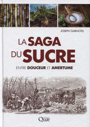 La saga du sucre : entre douceur et amertume