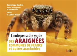 L'indispensable guide des araignées communes de France et autres arachnides