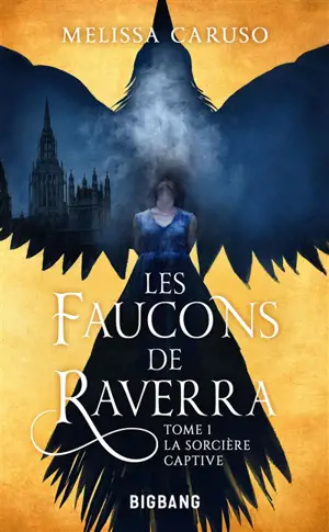 Les faucons de Raverra. Vol. 1. La sorcière captive
