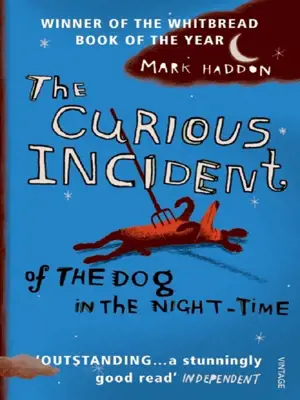 THE CURIOUS INCIDENT OF THE DOG IN THE NIGHT-TIME
