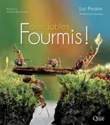 Formidables fourmis !