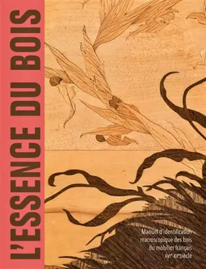 L'essence du bois : manuel d'identification macroscopique des bois du mobilier français : XVIe-XXe siècle