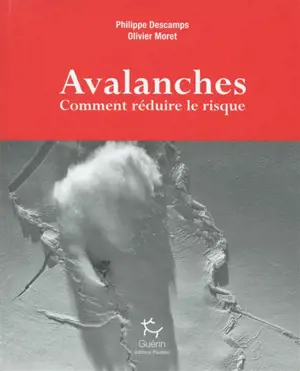 Avalanches : comment réduire le risque