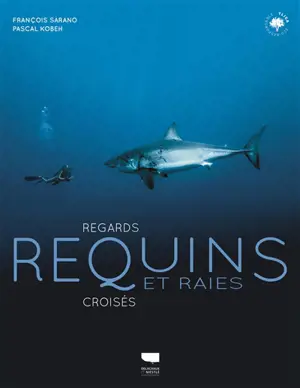 Requins et raies : regards croisés