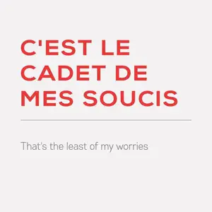 L'AINE DE MES SOUCIS SOLDE 1.50