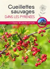 Cueillettes sauvages dans les Pyrénées : glaner 60 plantes et fruits