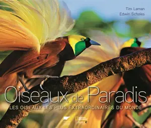 Oiseaux de paradis : les oiseaux les plus extraordinaires du monde