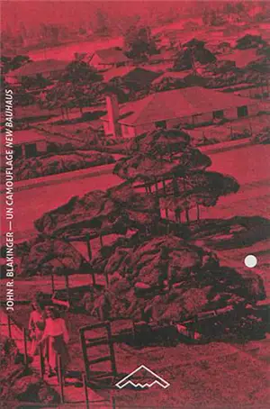 Un camouflage New Bauhaus : György Kepes et la militarisation de l'image