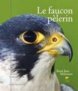 Le faucon pèlerin : description, moeurs, observation, protection, mythologie