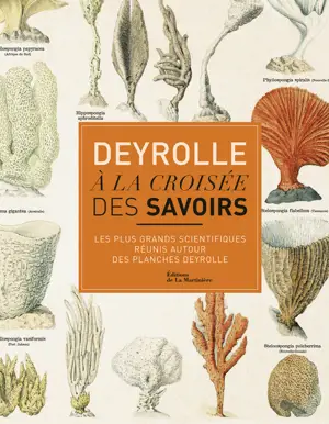 DEYROLLE A LA CROISEE DES SAVOIRS 10 OP 11/15