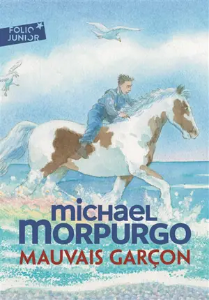Mauvais garçon