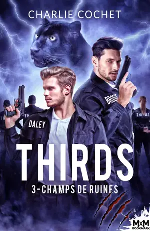 Champs de ruines : Thirds, T3