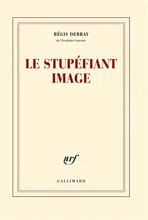 Le stupéfiant image : de la grotte Chauvet au Centre Pompidou