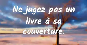 SCULPTURE PAS A PAS NE