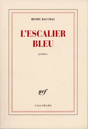 L'escalier bleu