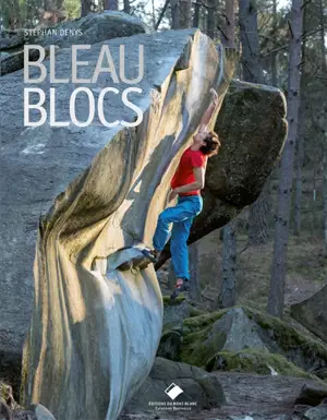 Bleau blocs