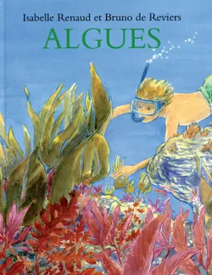 Algues