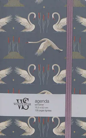 Cygnes : agenda 2021