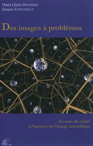 Des images à problèmes : le sens du visuel à l'épreuve de l'image scientifique