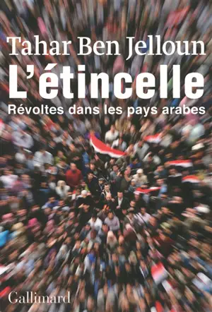 L'étincelle : révoltes dans les pays arabes