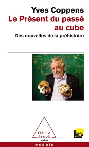 Le présent du passé au cube : des nouvelles de la préhistoire