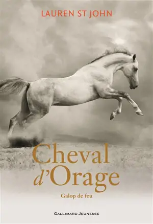 Cheval d'orage. Vol. 3. Galop de feu