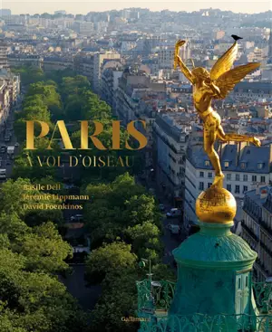 Paris à vol d'oiseau