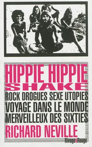 Hippie hippie shake : rock, drogues, sexe, utopies : voyage dans le monde merveilleux des sixties