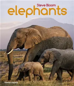Elephants A Book for Children (Paperback)