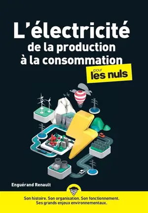 L'électricité, de la production à la consommation, pour les nuls