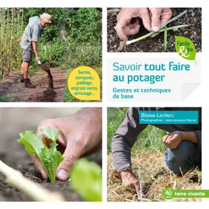 Savoir tout faire au potager : gestes et techniques de base