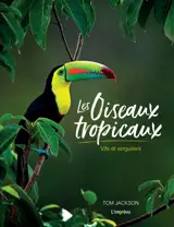 Les oiseaux tropicaux : vifs et singuliers