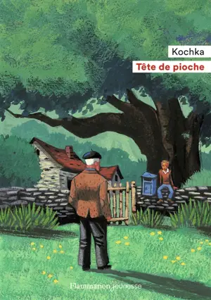 Tête de pioche