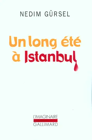 UN LONG ETE A ISTANBUL
