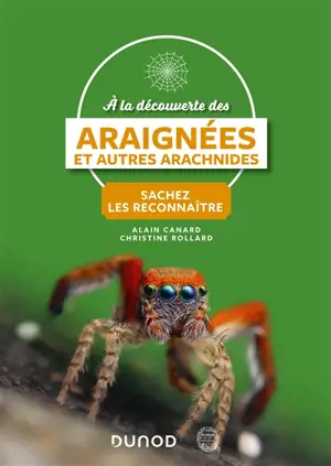 A la découverte des araignées et autres arachnides : sachez les reconnaître