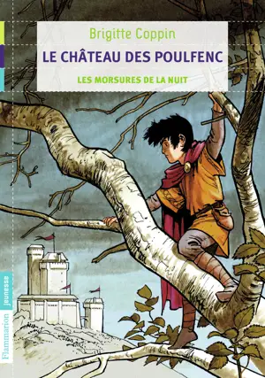 LE CHATEAU DES POULFENC T01