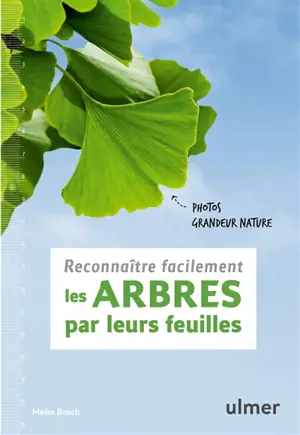 Reconnaître facilement les arbres par leurs feuilles : photos grandeur nature