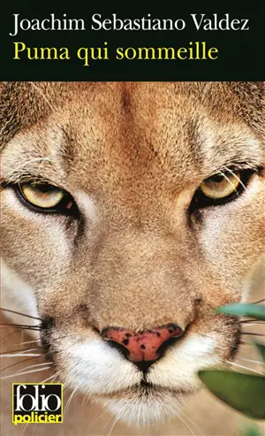 Une enquête impériale de l'Inca Tupac Hualpa. Puma qui sommeille