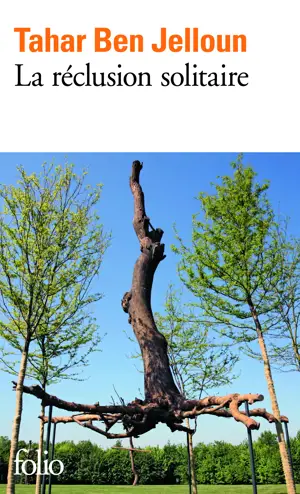 LA RECLUSION SOLITAIRE